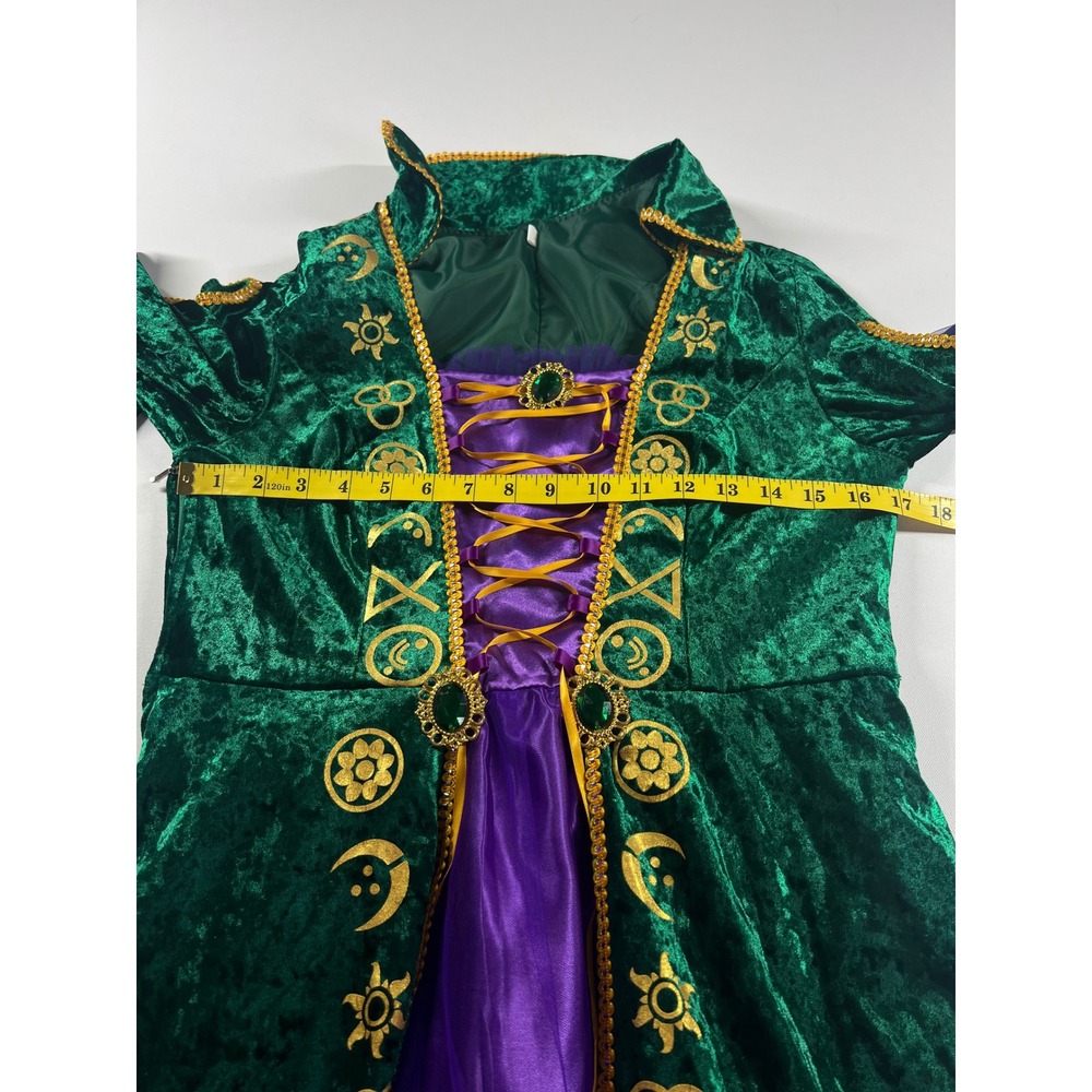 Hocus Pocus Winifred Sanderson Halloween Cosplay Velvet Medieval Gown Medium - Picture 11 of 16